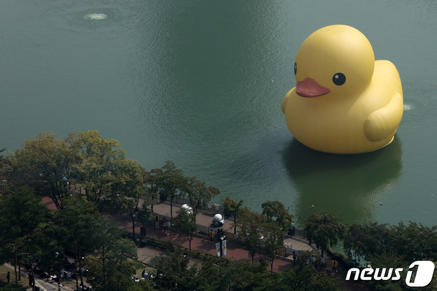 29일 서울 송파구 석촌호수에 대형 고무 오리 '러버덕(Rubber Duck)'이 떠 있다. 러버덕은 네덜란드 출신 ‘플로렌타인 호프만’ 작가의 대형 공공미술 프로젝트로, 현재까지 16년간 전 세계 16개국을 순회하며 25회 이상의 전시를 이어가고 있다. 이번 ‘러버덕 프로젝트 서울 2022’는 코로나로 지쳐있는 우리 모두에게 힐링과 기쁨, 희망의 메시지를 전달하기 위해 기획됐고 다음달 31일까지 총 32일 동안 진행된다. 2022.9.29/뉴스1 ⓒ News1 이동해 기자