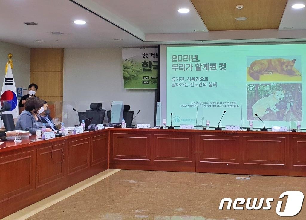 본문 이미지 - 29일 서울 영등포구 국회의원회관에서는 '천연기념물 진돗개 보호방안 개선을 위한 한국진도개 보호·육성법 개정 토론회가 열렸다. ⓒ 뉴스1 최서윤 기자