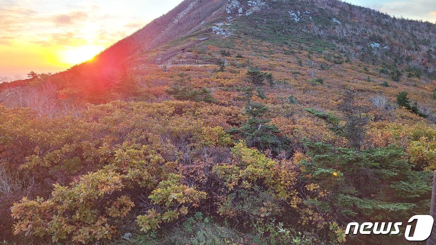 본문 이미지 - 본격 단풍철이 시작된 가운데 지난 29일 강원지역 단풍 명소인 설악산 중청대피소 인근에 울긋불긋 단풍이 물들고 있다.(설악산국립공원 사무소) 2022.9.30/뉴스1 ⓒ News1 윤왕근 기자