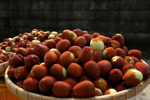 본문 이미지 - 자료사진/뉴스1