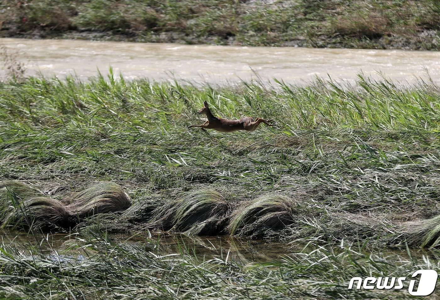 본문 이미지 - (뉴스1 자료사진) /뉴스1 ⓒ News1 윤일지 기자