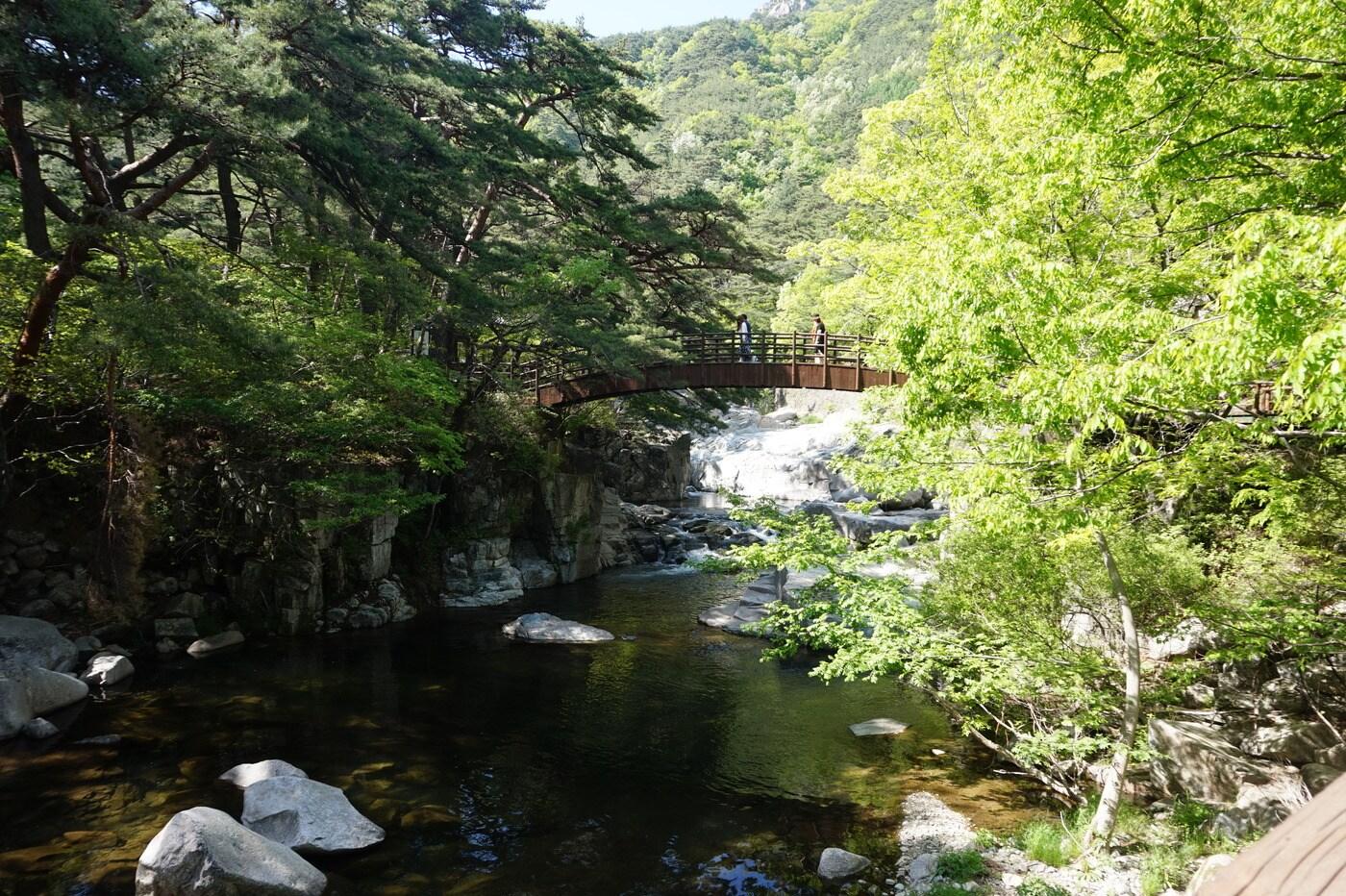 본문 이미지 - 해인사소리길(합천군 제공)