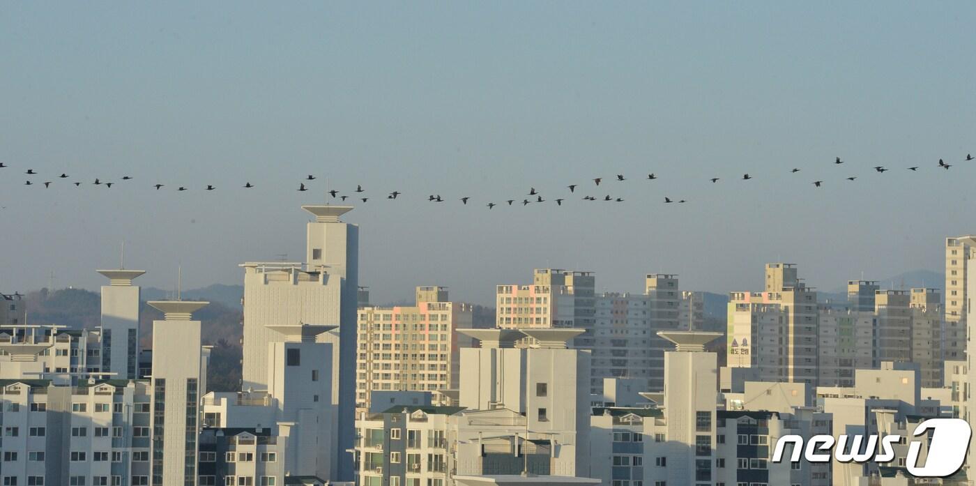  아파트가 밀집한 경북 포항 도심 전경.(뉴스1 자료)2023.1.12/뉴스1 ⓒ News1 최창호 기자