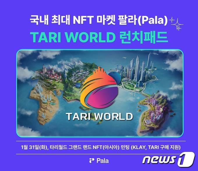 본문 이미지 - 팔라가 진행하는 타리월드 런치패드. (팔라 자료 제공)