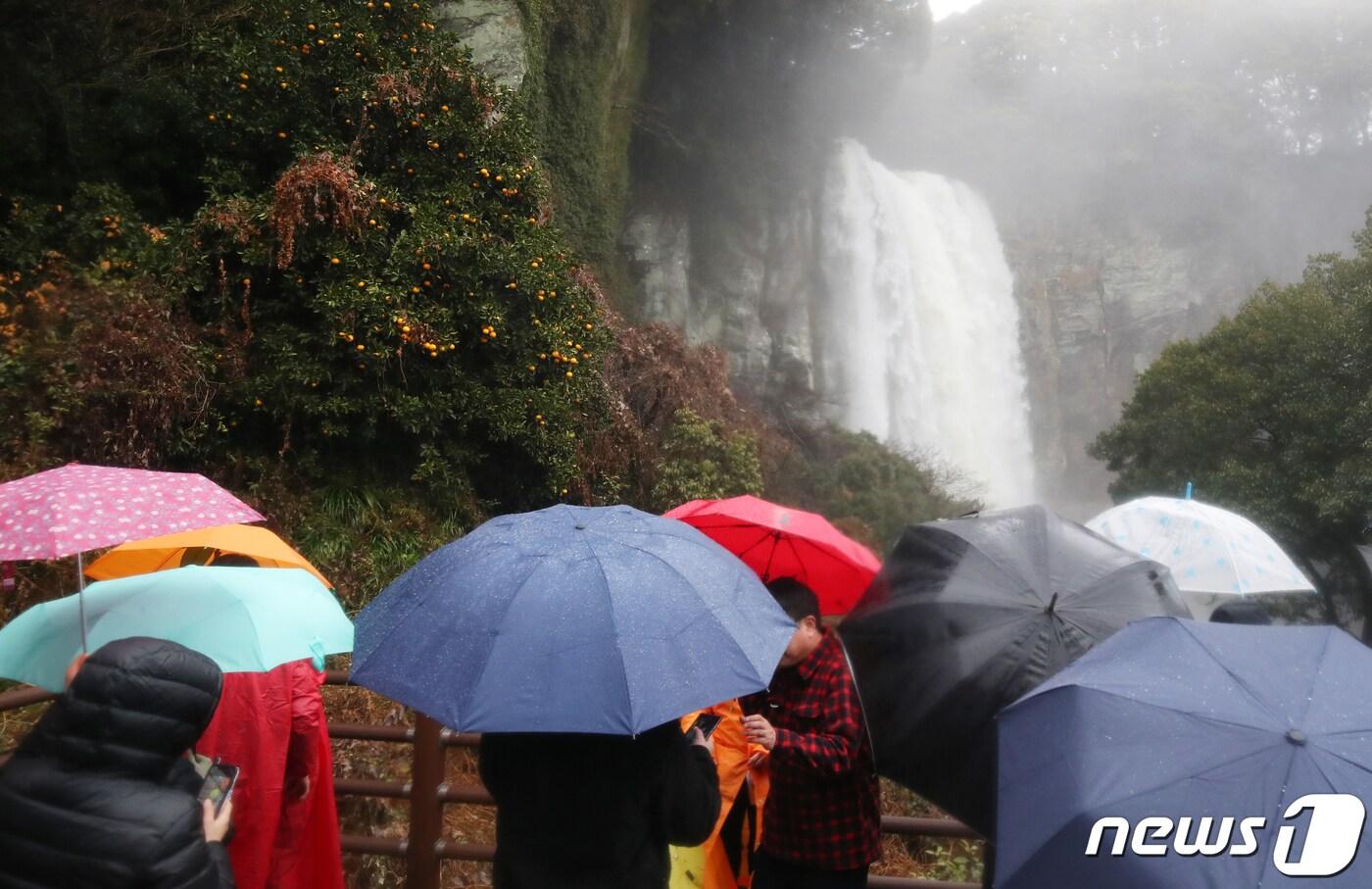 본문 이미지 - <자료사진>  2023.1.13/뉴스1 ⓒ News1 오현지 기자