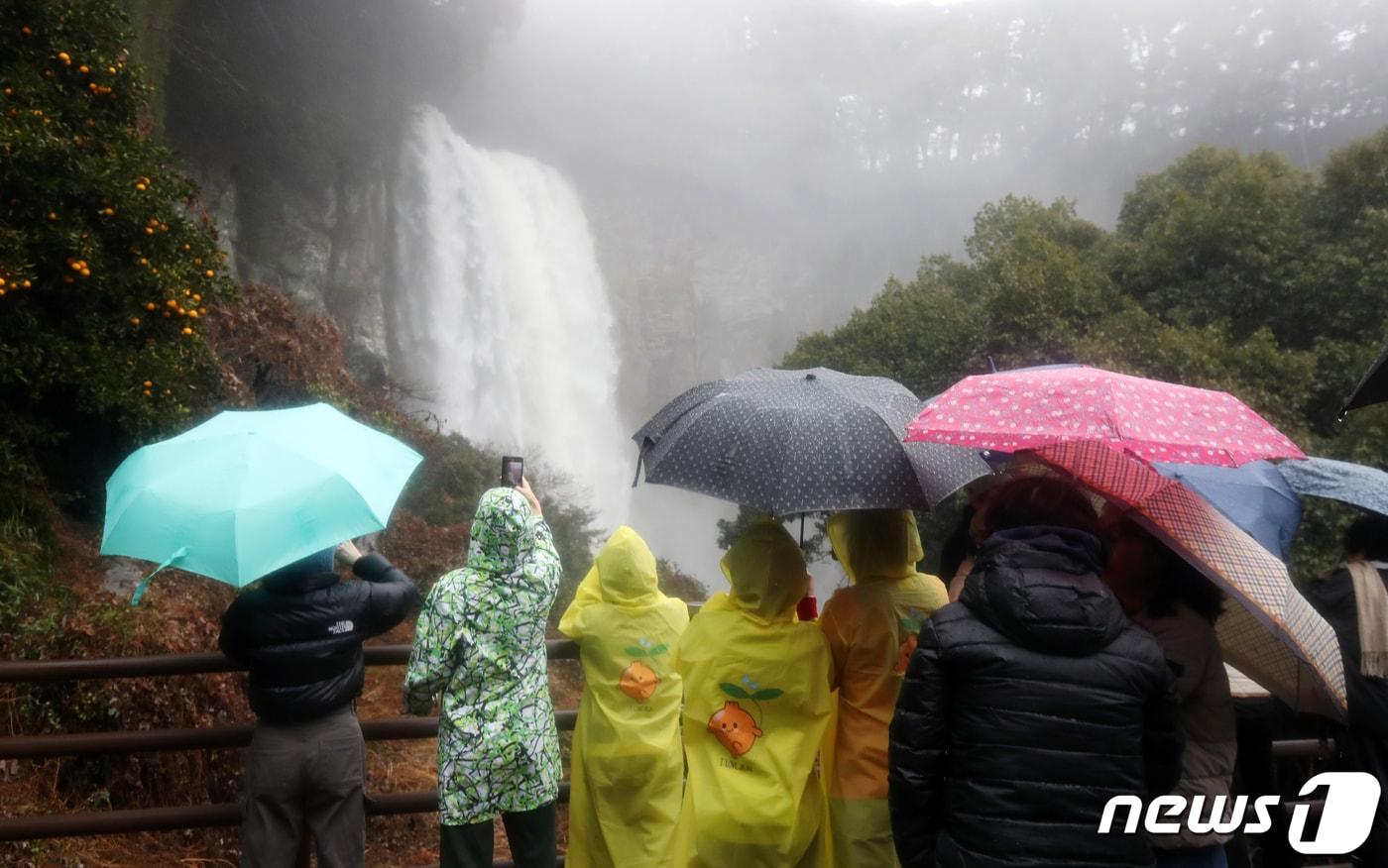 제주 서귀포시 강정동의 엉또폭포. 엉또폭포는 평소엔 물이 없지만 70㎜ 이상 강수를 보일 때 폭포수가 형성된다. / 뉴스1