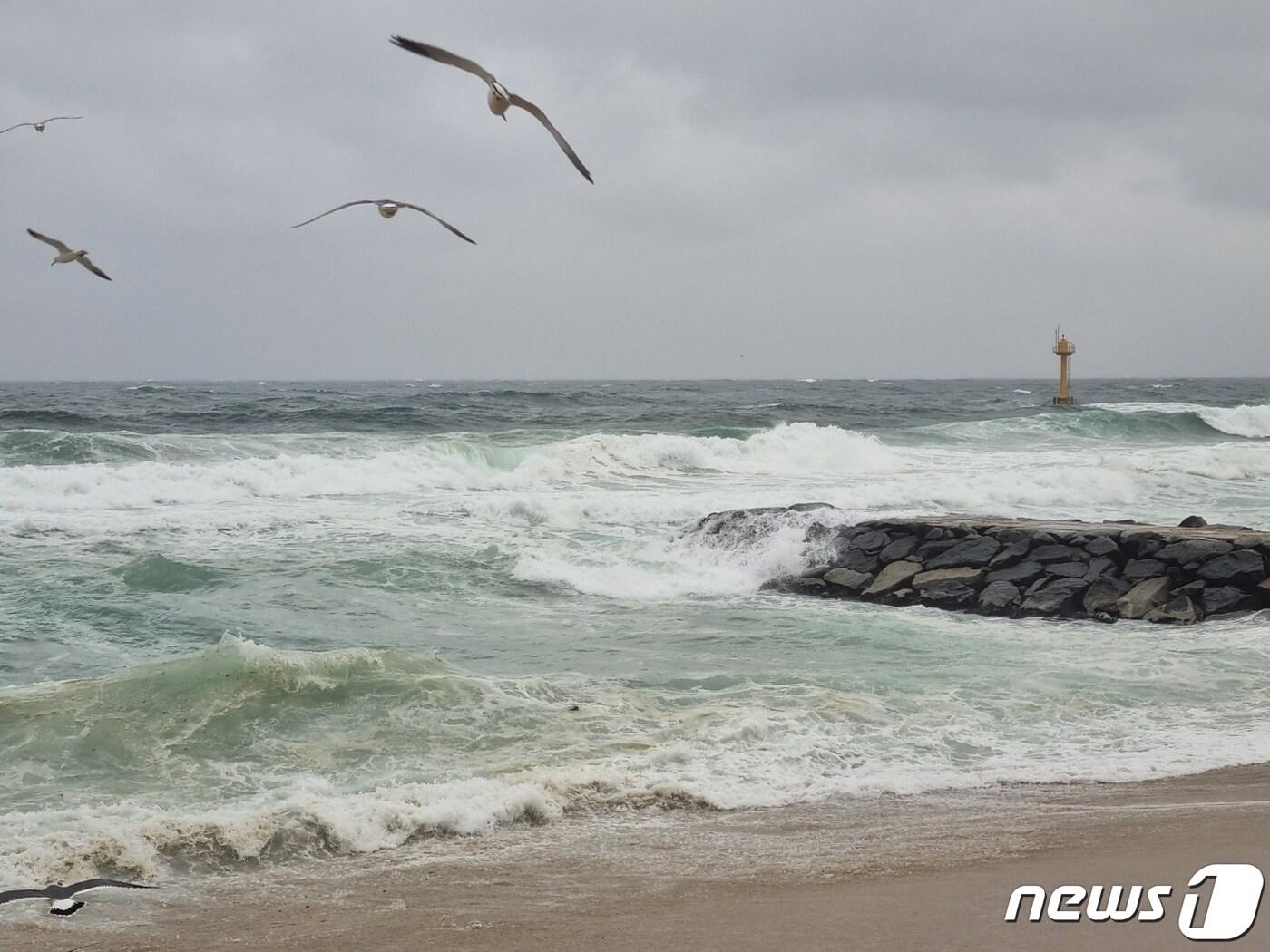 본문 이미지 - 강원 파도 치는 강원 강릉 도깨비 방사제.(뉴스1 DB) ⓒ News1 윤왕근 기자