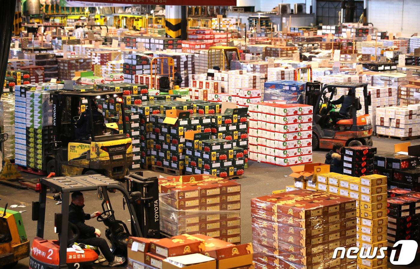 본문 이미지 - 서울 가락동 농수산물도매시장 청과물 경매장에서 작업자들이 분주하게 과일상자를 옮기고 있다. 2023.1.16/뉴스1 ⓒ News1 구윤성 기자