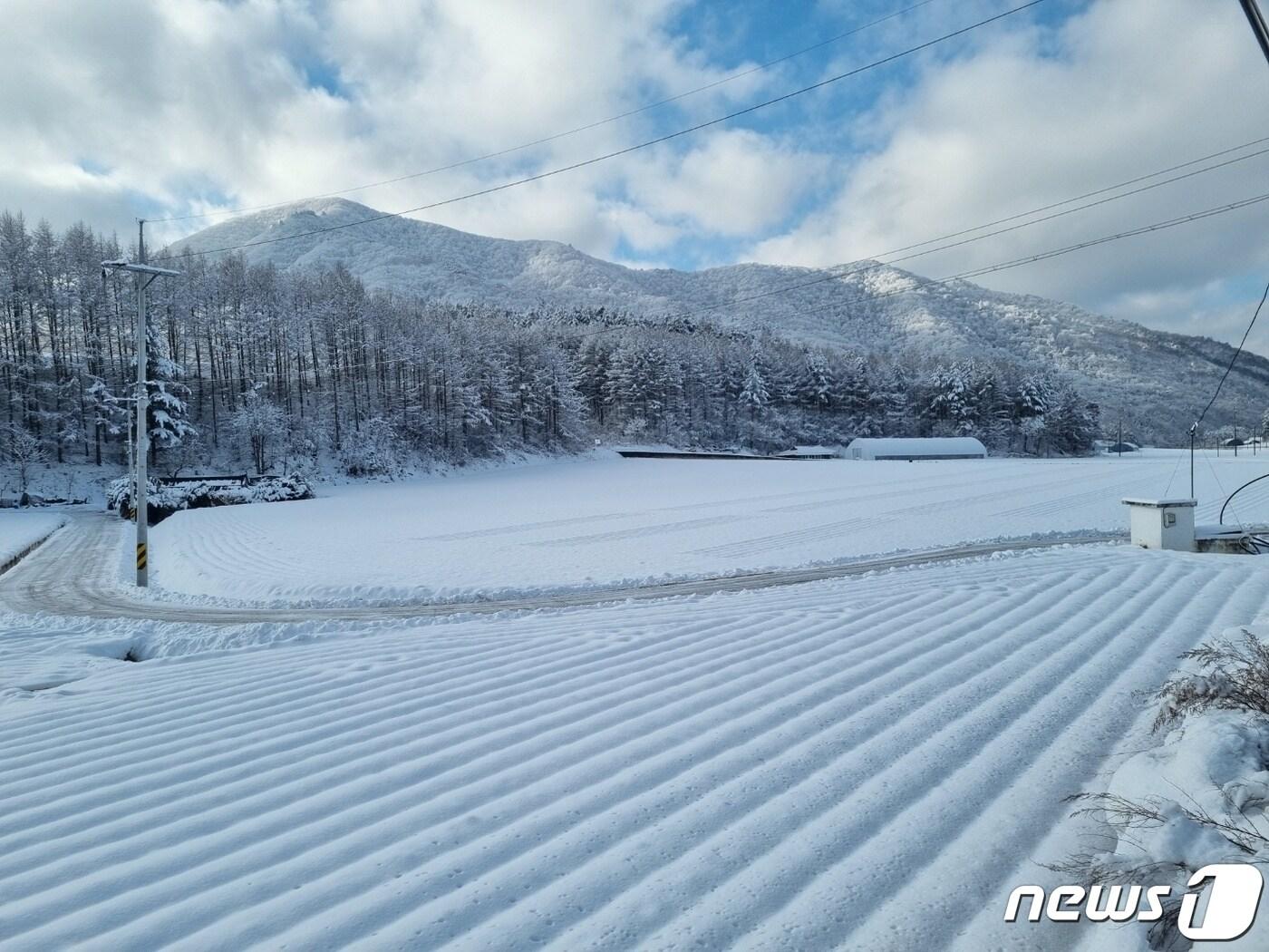 본문 이미지 - 강원 산간지역에 내린 눈 자료사진.
