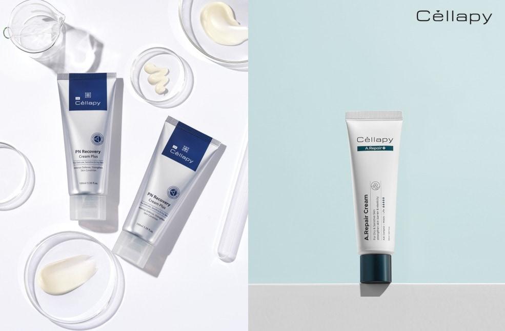 본문 이미지 - 닥터셀라피 PN리커버리크림 플러스(왼쪽), 에이리페어 크림(에이블씨엔씨제공)