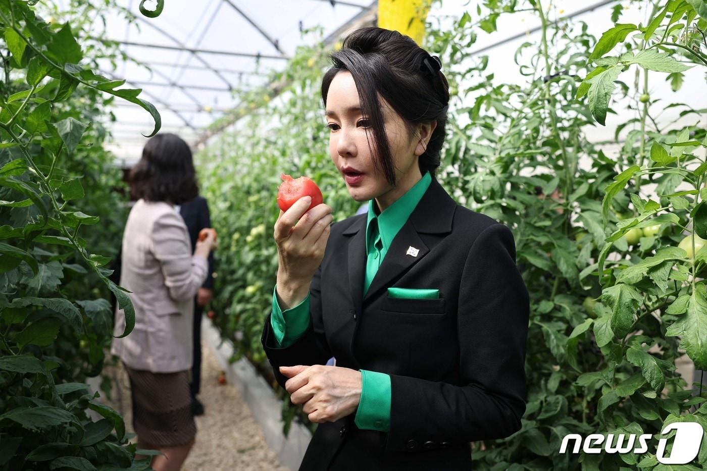 본문 이미지 - 윤석열 대통령 부인 김건희 여사가 17일(현지시간) 아랍에미리트(UAE) 두바이 현지의 스마트팜 진출기업인 아그로테크(AgroTech)를 찾아 재배 중인 토마토를 시식하고 있다. (대통령실 제공) 2023.1.19/뉴스1 ⓒ News1 안은나 기자