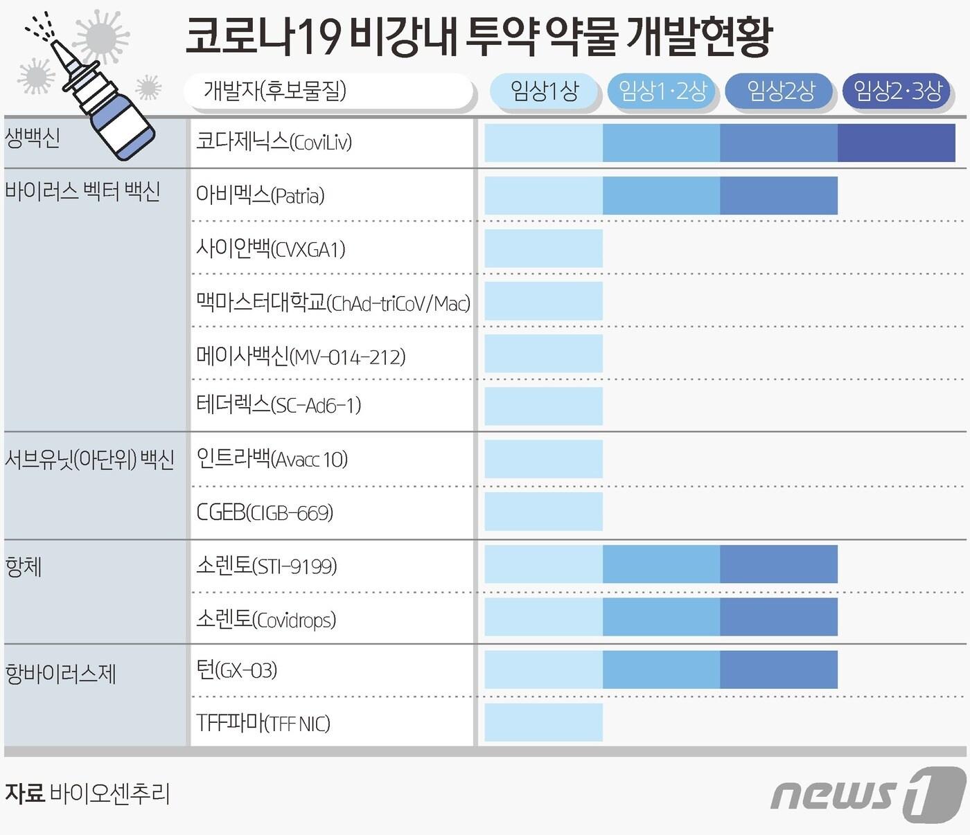 본문 이미지 - ⓒ News1 김초희 디자이너