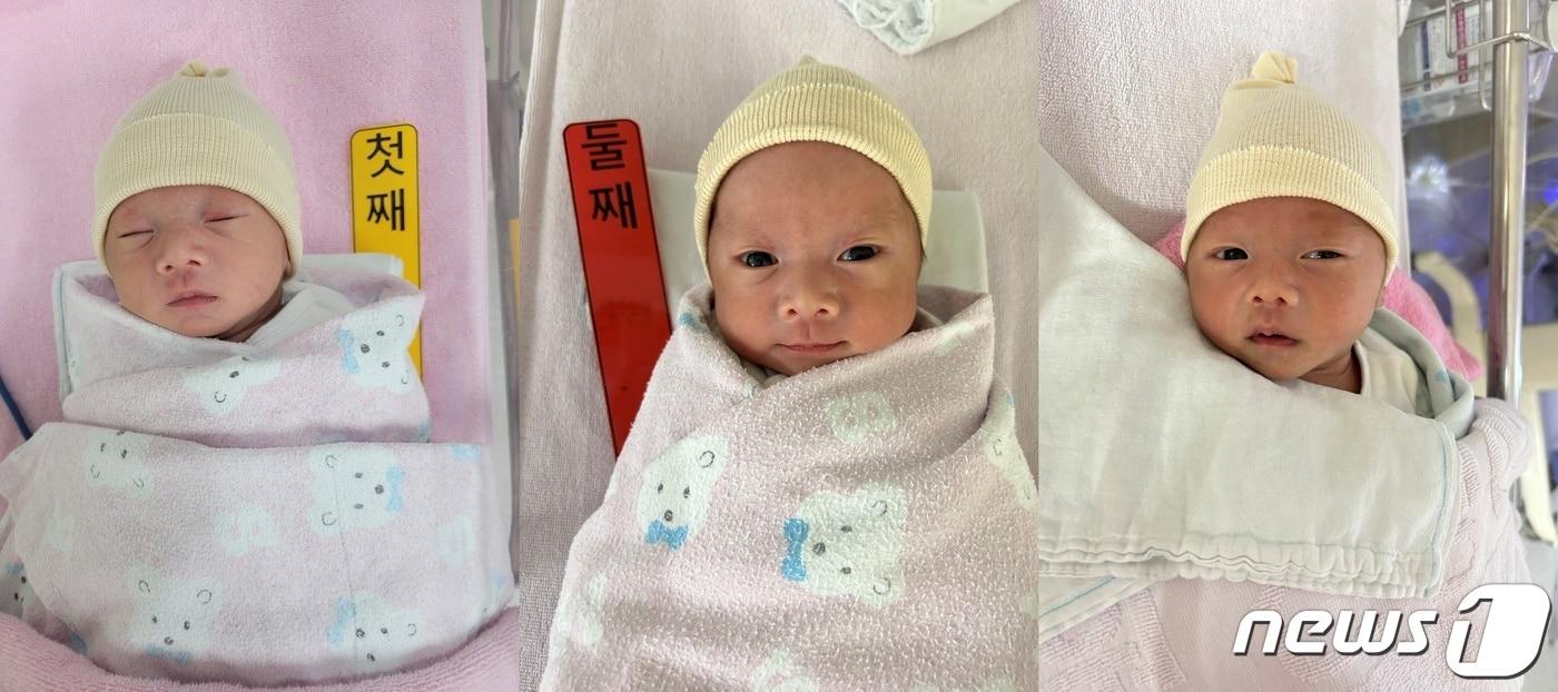 본문 이미지 - 계묘년인 2023년 1월1일 새벽 0시0분에 광주에서 태어난 '세쌍둥이' 김서준. 김서아(여), 김서진이 무럭무럭 자라고 있다.(세쌍둥이의 아버지 김경곤씨 제공.) 2023.01.22/뉴스1