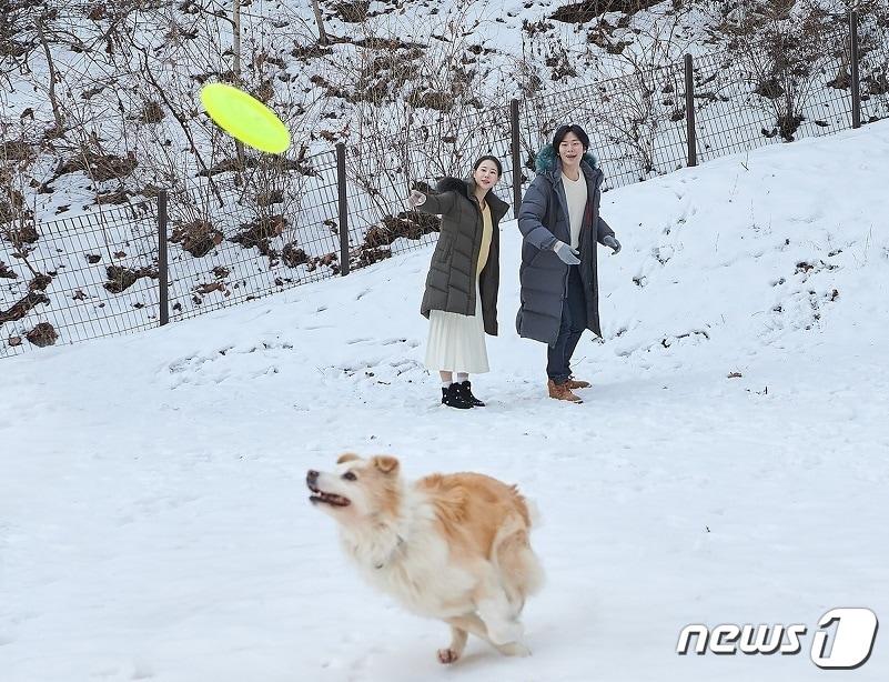 본문 이미지 - 강원 홍천 소재 힐리언스 선마을 펫그라운드.(힐리언스 선마을 제공) 2023.1.20/뉴스1
