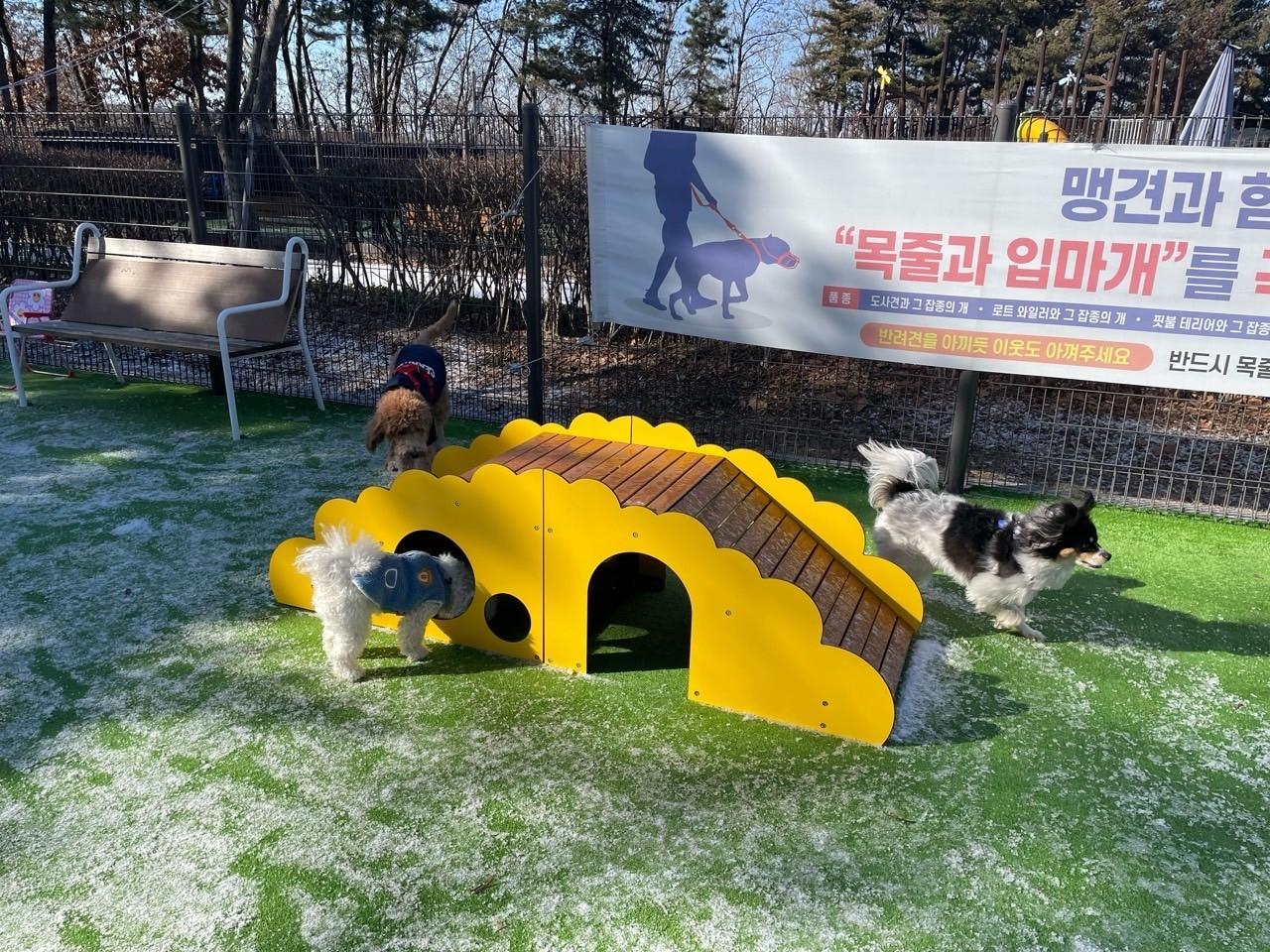 본문 이미지 - 용왕산공원 반려견 쉼터에 놀이시설이 추가된 모습. (양천구 제공)
