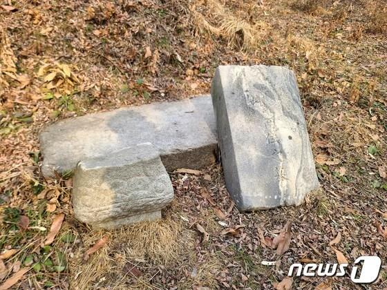 본문 이미지 - 2023년 1월19일 초안산 분묘군. 석물이 잘린채 방치된 모습 ⓒ News1 조현기 기자