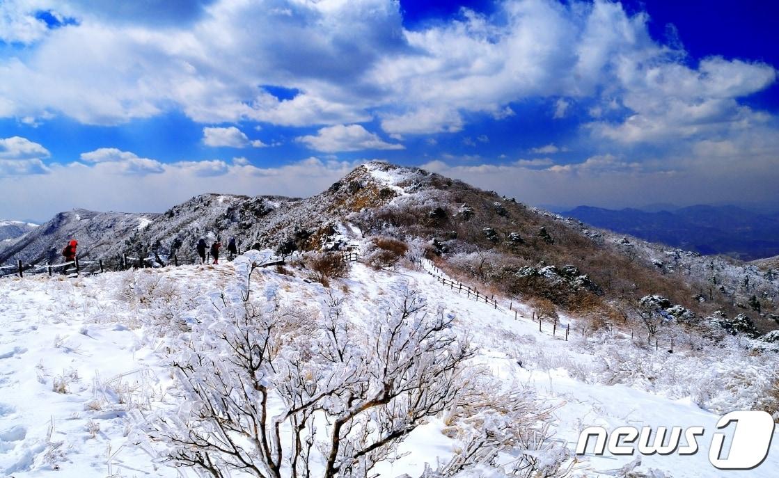 본문 이미지 - 단양 소백산 설경. 