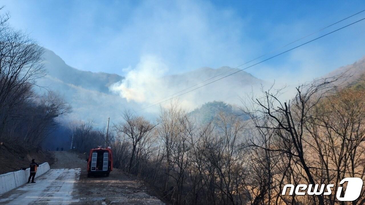 본문 이미지 - 3일 오후 1시8분쯤 경북 영덕군 달산면 봉산리 715번지 일원에서 발생한 산불 주불이 2시간여 만에 잡혔다.(산림청제공)20223.1.3/뉴스1 