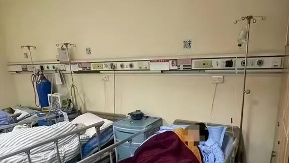 본문 이미지 - (중국 포털 왕이(网易) 뉴스 갈무리)