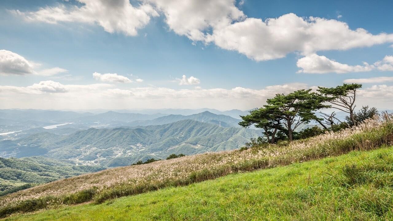 본문 이미지 - 양평 100년의 숲(한화호텔앤드리조트 제공)