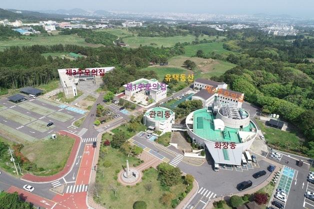본문 이미지 - 제주 양지공원 전경. ⓒ News1 홍수영 기자