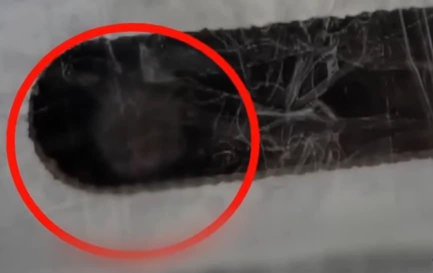 본문 이미지 - (JTBC '사건반장' 갈무리)