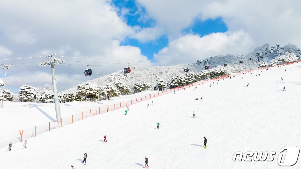 본문 이미지 - 비발디파크(소노인터내셔널 제공)