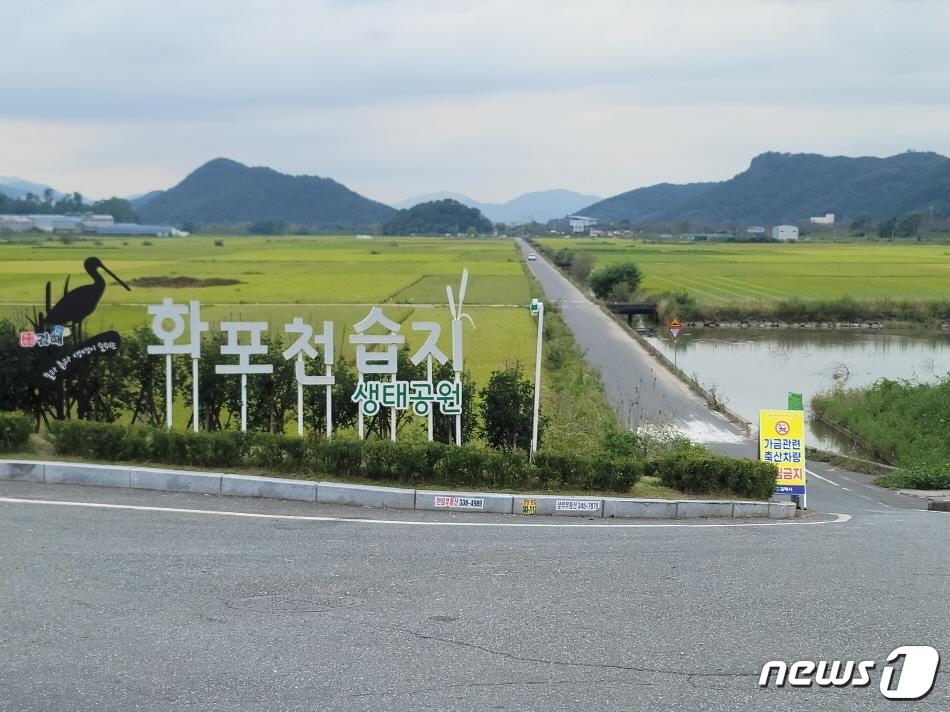 본문 이미지 - 화포천습지 &#40;김해시 제공&#41; 