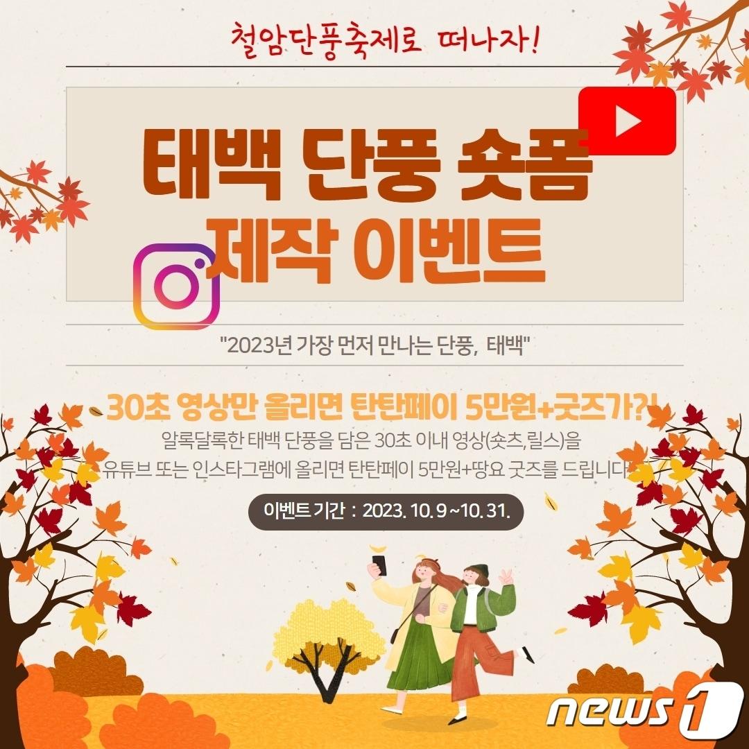 본문 이미지 - 강원 태백시의 태백단풍 숏폼 제작 이벤트 안내 포스터. (태백시 제공) 2023.10.11/뉴스1