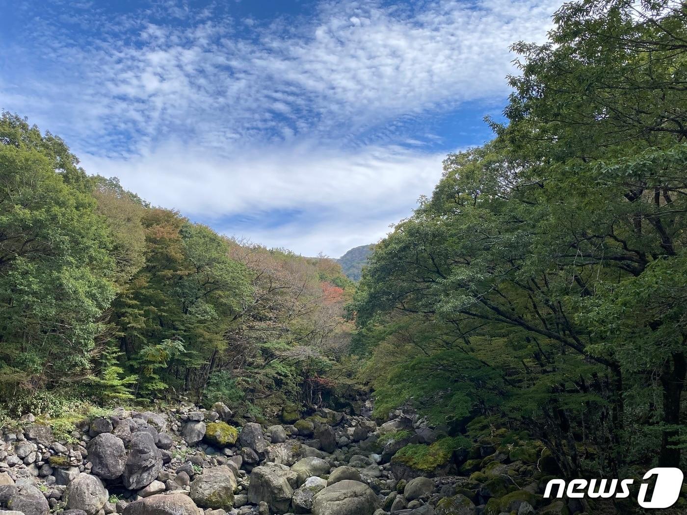 본문 이미지 - 자료사진.ⓒ News1 