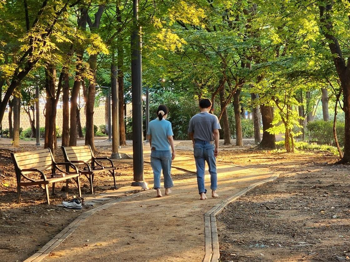 본문 이미지 - 서울 서초구 반포근린공원에 마련된 맨발길을 구민들이 이용하고 있다. (서초구 제공)