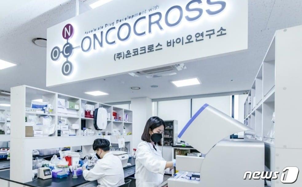 본문 이미지 - 온코크로스 연구진들이 실험을 진행하고 있다.(온코크로스 제공)
