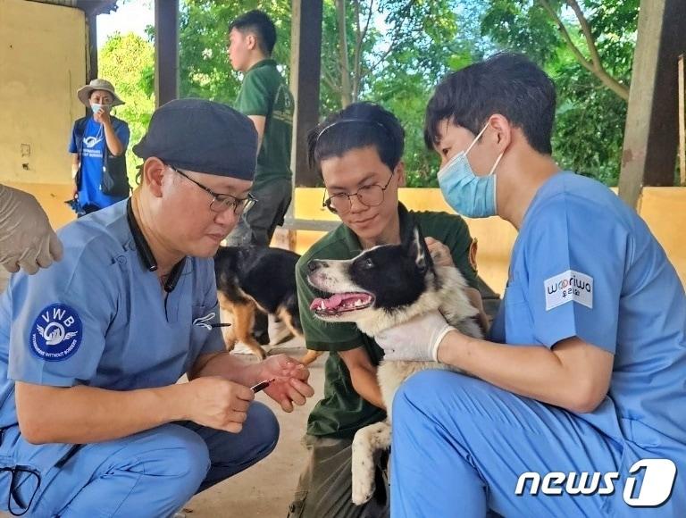 본문 이미지 - 국경없는 수의사회는 베트남 하노이에서 제2차 해외 동물의료봉사를 진행했다.(수의사회 제공) ⓒ 뉴스1