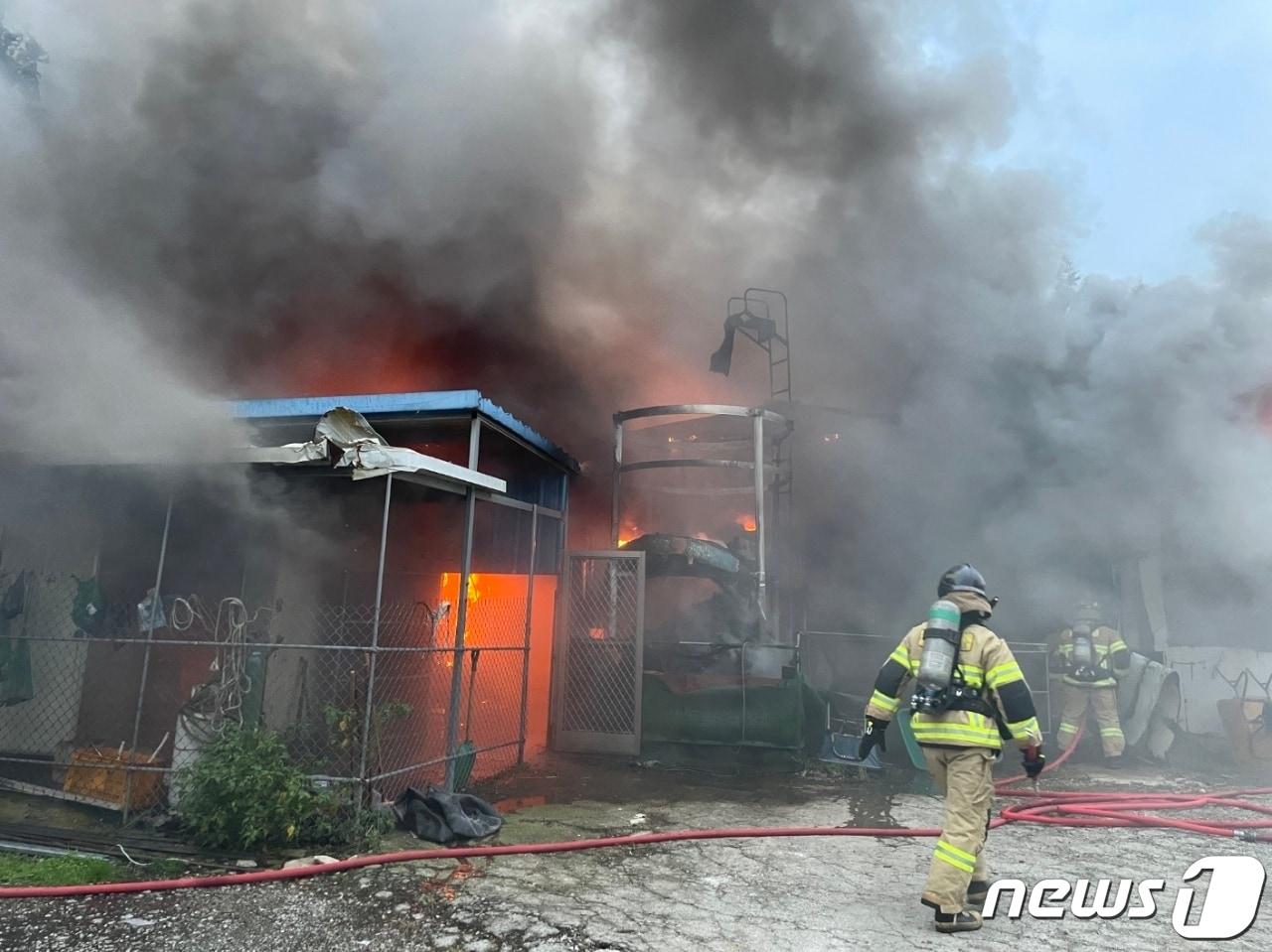 본문 이미지 -  한 축사에서 불이 나 소방당국이 화재 진압을 하고 있다. (자료사진) ⓒ 뉴스1 