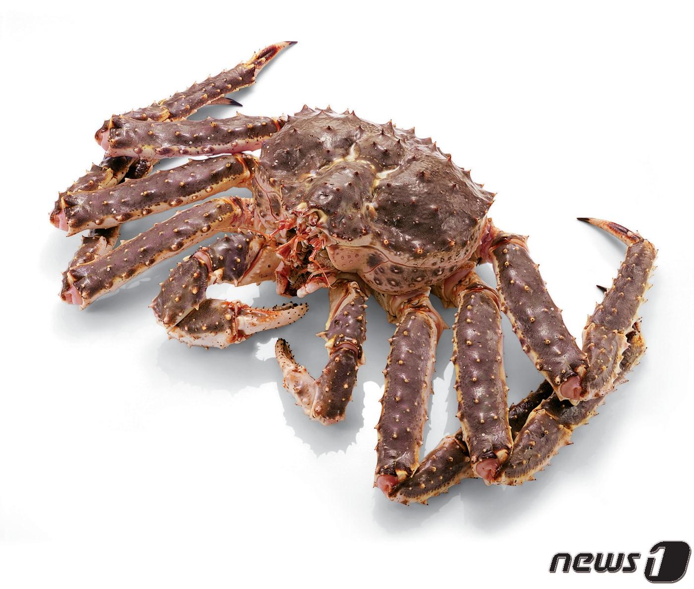 본문 이미지 - 킹크랩 이미지.(이마트제공)