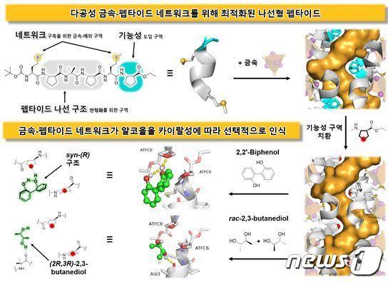 본문 이미지 - 카이랄성 알코올 화합물을 선택적으로 인식하는 펩타이드 기반 기능성 소재 개발 모식도.(KAIST 제공)/뉴스1