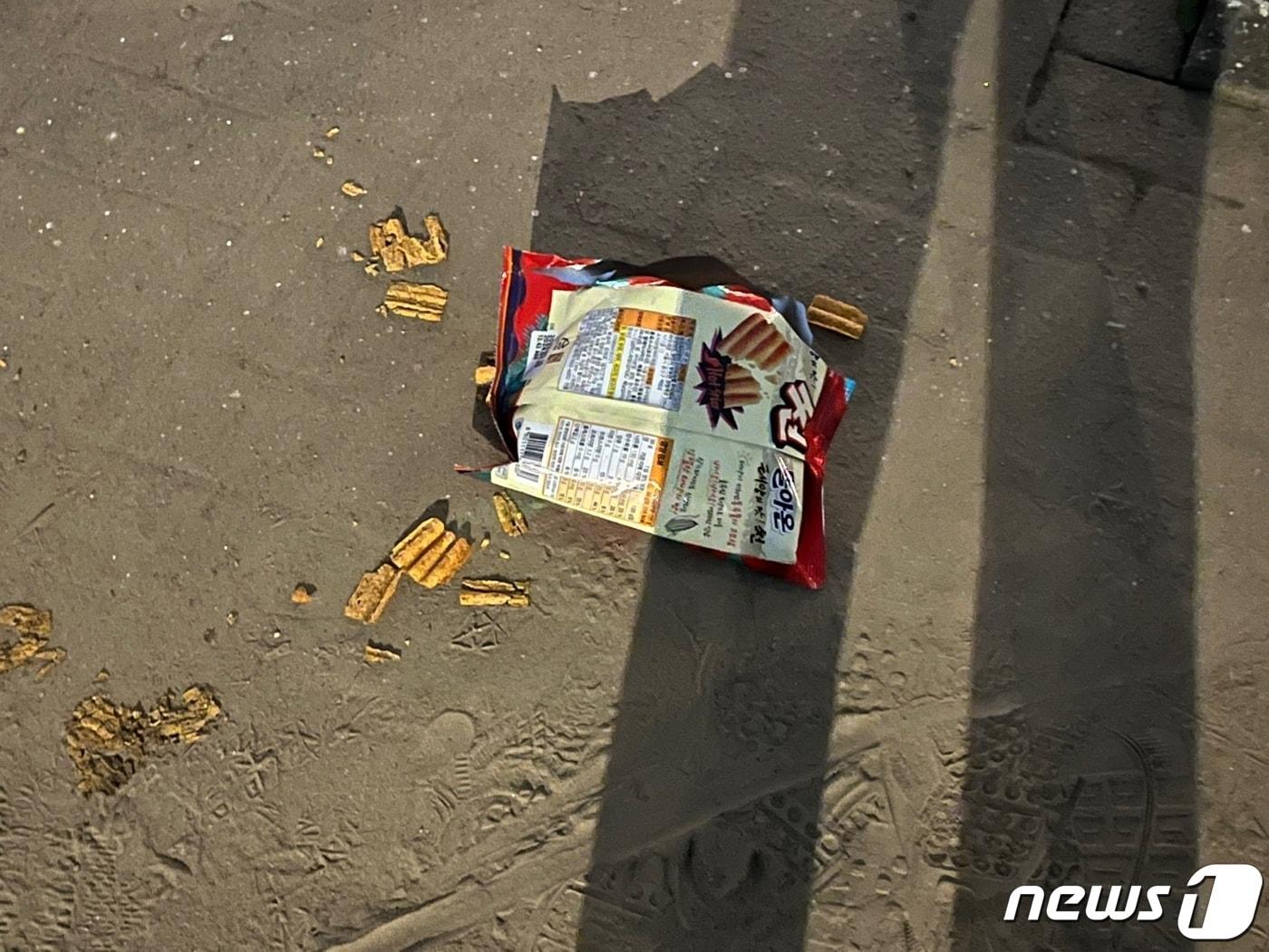 본문 이미지 - 지난달 24일 오후 반포 한강공원에 음식물 쓰레기가 공원 바닥에 버려져 있다. /뉴스1