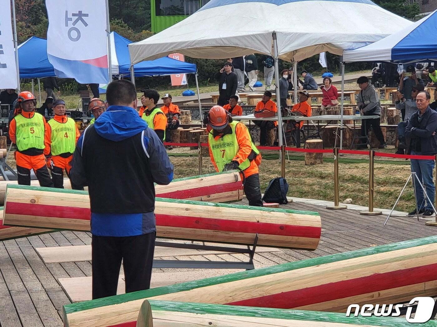 본문 이미지 - 맞춤절단 경진대회 모습. (산림청 제공) /뉴스1