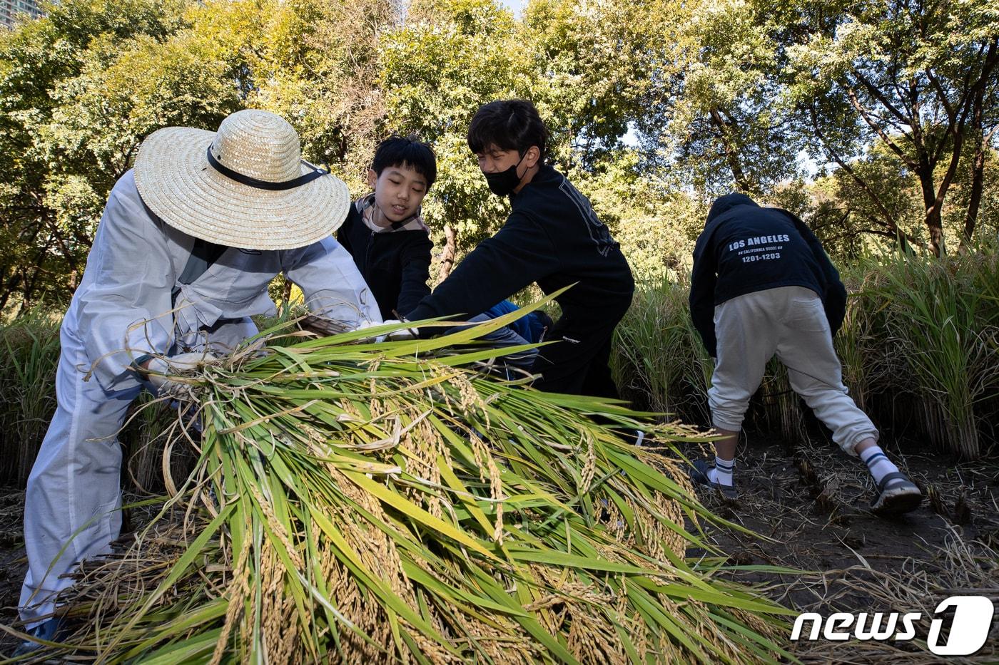 (사진은 기사 내용과 무관함) / 뉴스1 ⓒ News1 ⓒ News1 유승관 기자