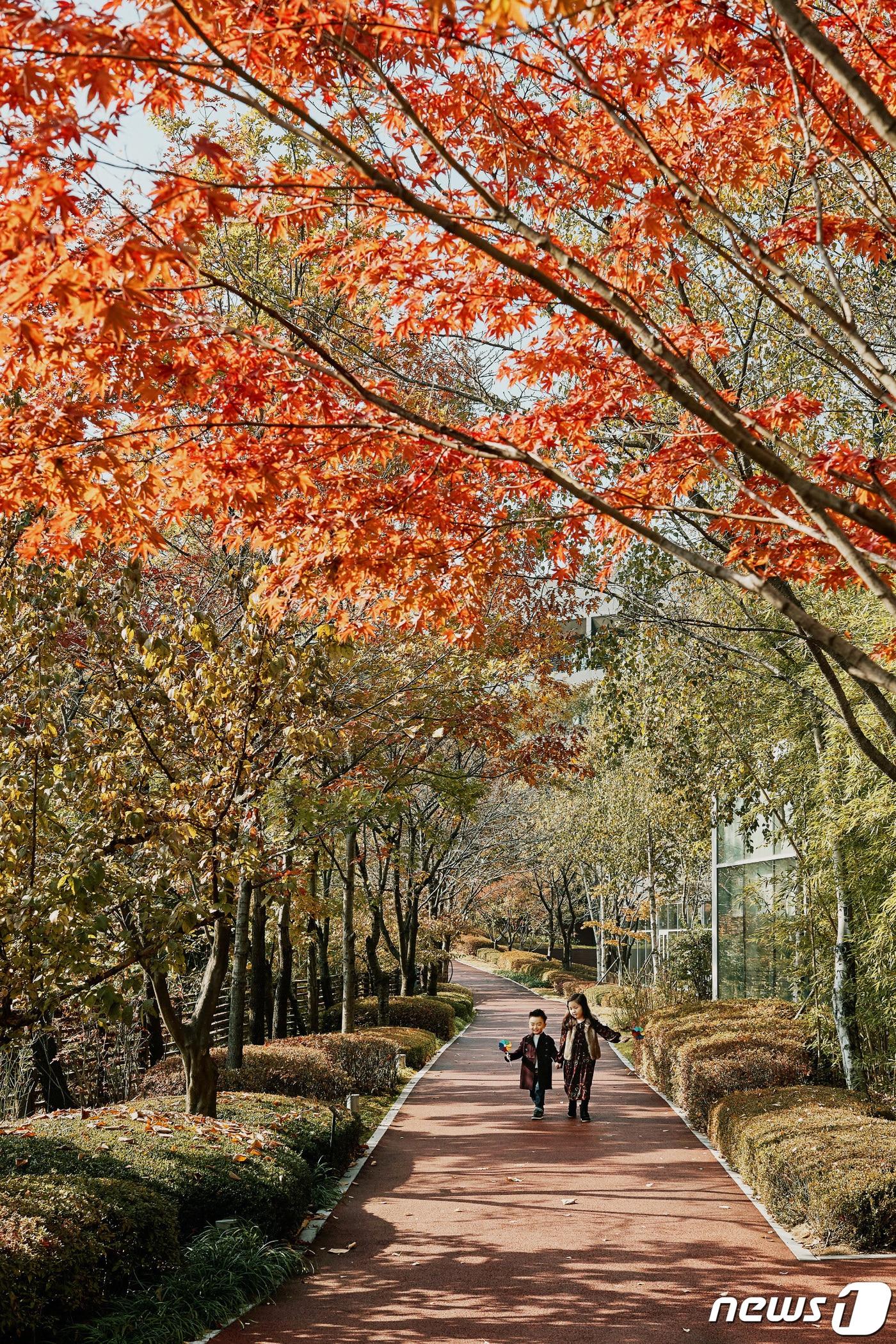 본문 이미지 - 롤링힐스 호텔 가을 산책로(해비치호텔앤드리조트 제공)