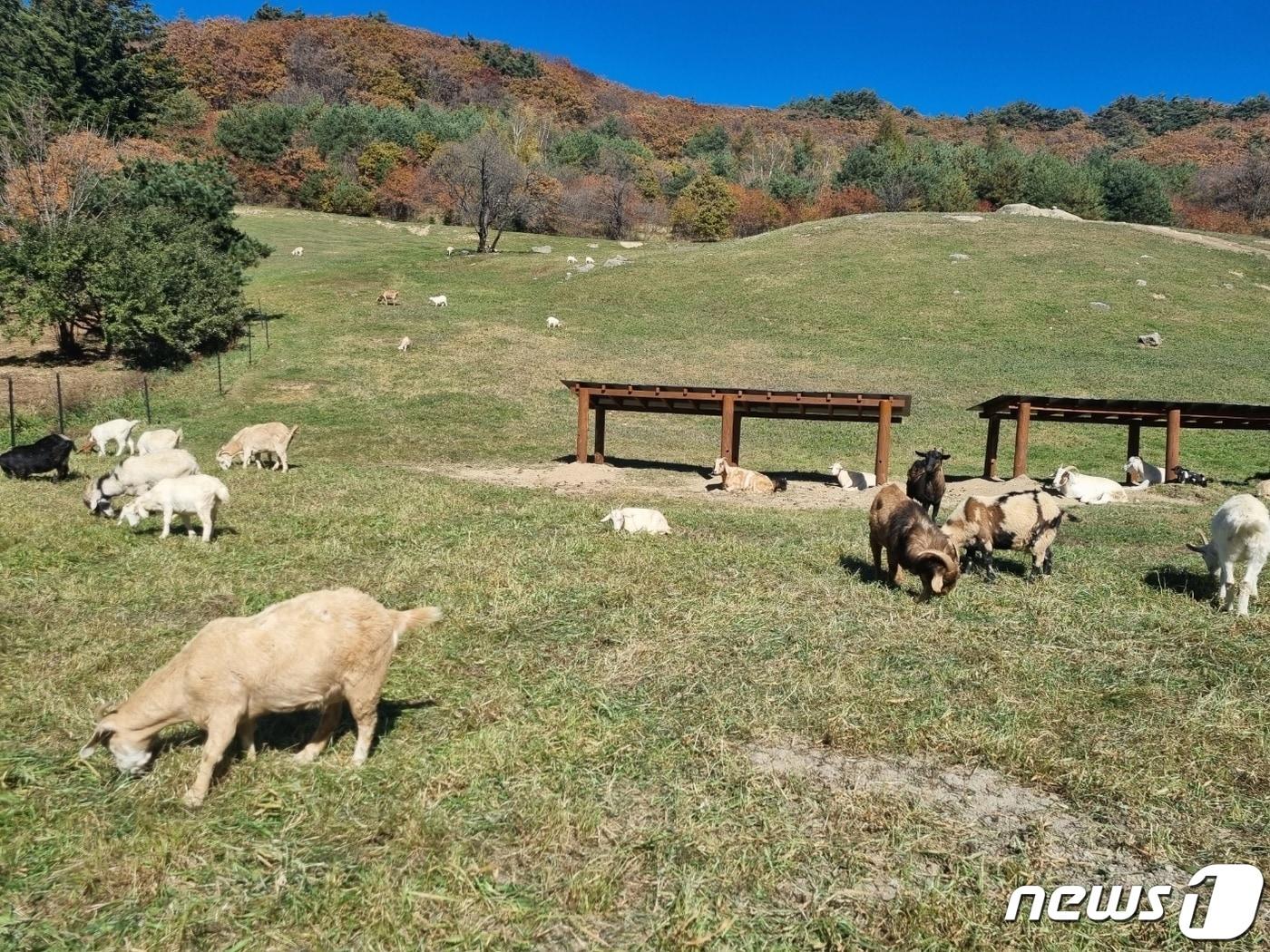 본문 이미지 - (사진은 기사 내용과 무관함) / 뉴스1 ⓒ News1