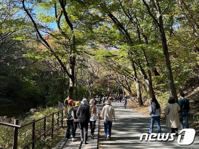본문 이미지 -  22일 오후 계룡산 국립공원에서 등산객들이 산을 오르고 있다.(계룡산 제공)/뉴스1