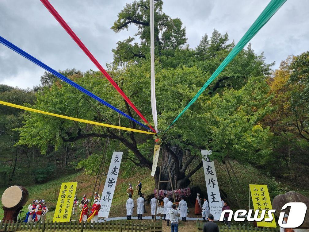 본문 이미지 -  보석사은행나무대신제 거행 모습.(금산군 제공)/뉴스1