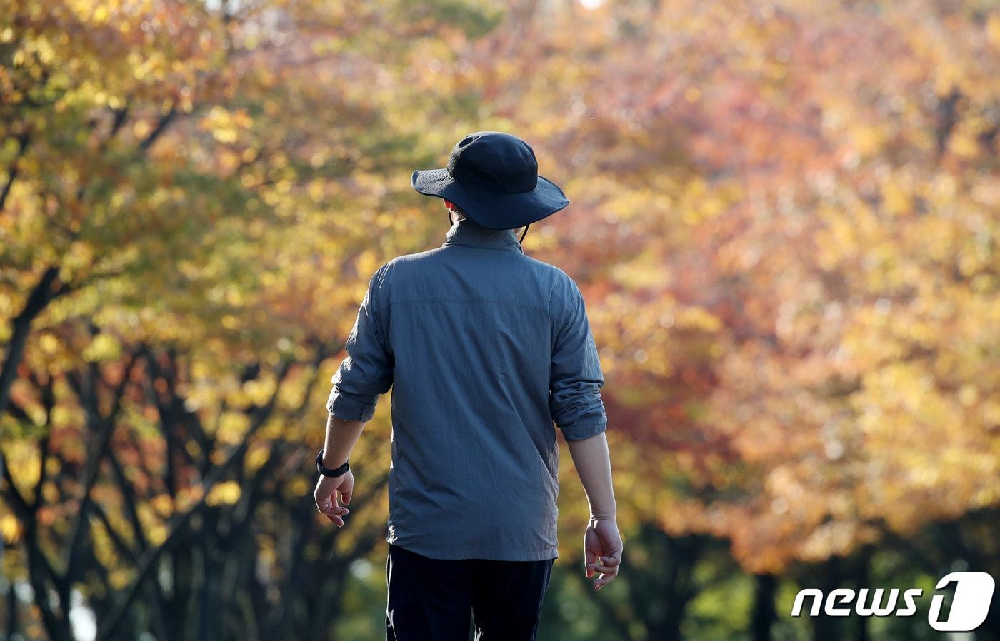본문 이미지 - 서리가 내린다는 절기 '상강(霜降)'을 하루 앞둔 23일 오후 대구 수성구 대구스타디움 산책로에서 시민들이 도심까지 내려온 단풍과 함께 깊어가는 가을의 정취를 만끽하고 있다./뉴스1 ⓒ News1 공정식 기자