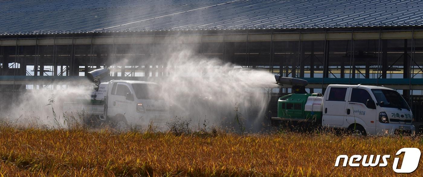 본문 이미지 - 경북 포항시 축산방역팀이 축협공동방제단과 함께 북구 기계면 한우농장에서방역 작업을 하고 있는 모습. (뉴스 1 자료, 재판매 및 DB금지) ⓒ News1 최창호 기자