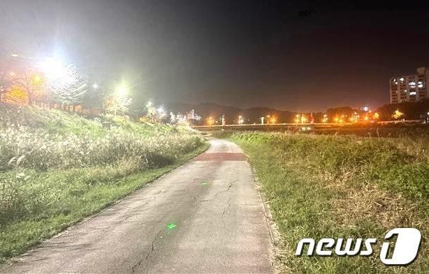 본문 이미지 - 조도개선사업이 완료된 전주시 효자교 인근 산책로(전주시 제공)/뉴스1