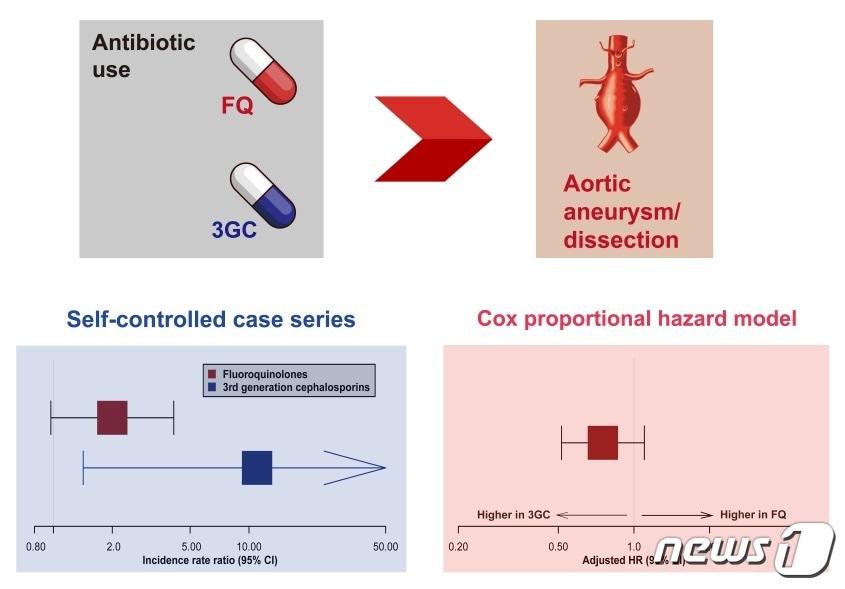 본문 이미지 - 콕스비례위험모형과 자기-대조 환자군 연구 결과.(정재훈 가천의대 부교수 제공)/뉴스1