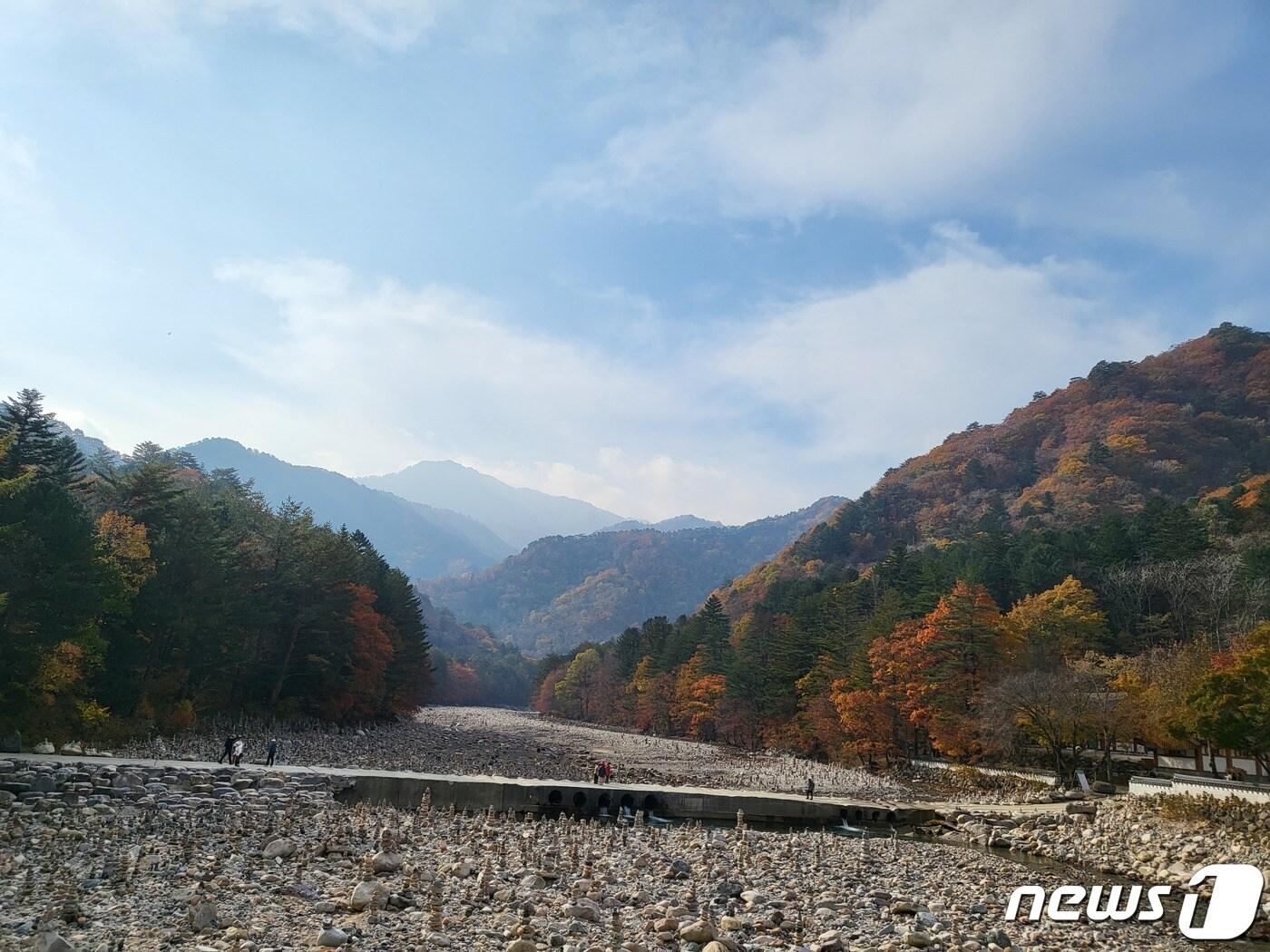 본문 이미지 - 지난 24일 인제군 북면 설악산 백담사에 물든 단풍.(설악산국립공원사무소 제공) 2023.10.25/뉴스1