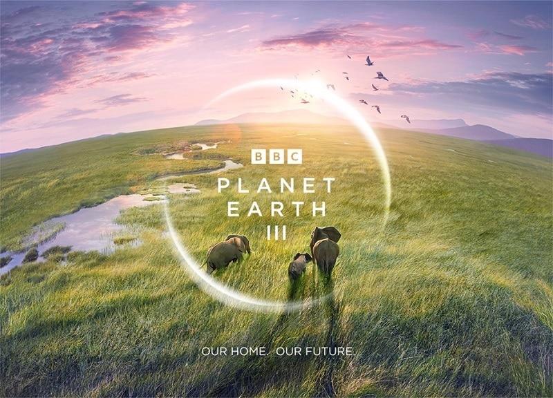 본문 이미지 - 제공 = BBC스튜디오