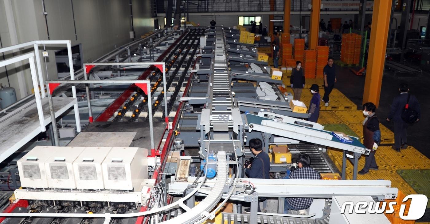 감귤 선과장(자료사진)/뉴스1 